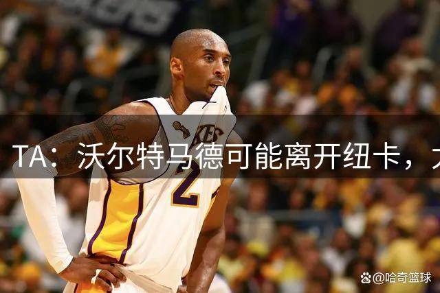 TA：沃尔特马德可能离开纽卡，尤文、多特等俱乐部均有意租借引进